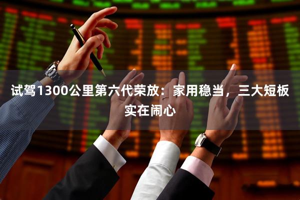 试驾1300公里第六代荣放：家用稳当，三大短板实在闹心